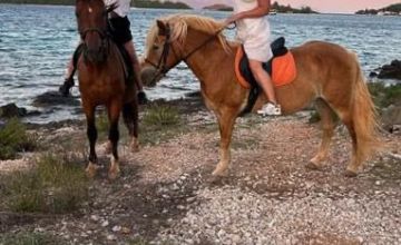 Jahače ture na otoku Korčuli – Horseriding Korčula